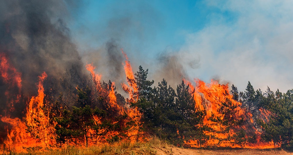Wildfires